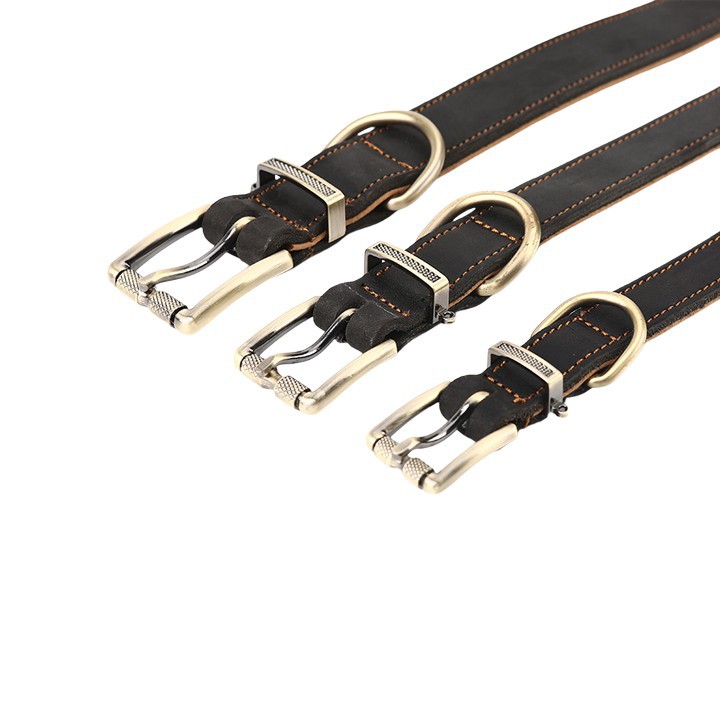 Genuine Leather Collar for Dogs
