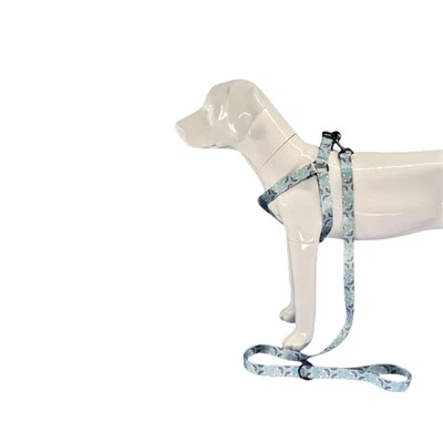 רתמת כלבים לכלבים גדולים