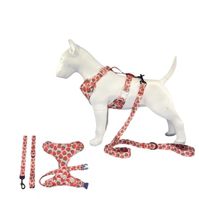 רתמת כלב ילדה