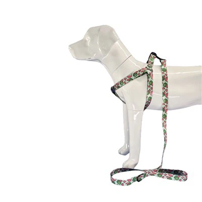 רתמת הכלב של Halter