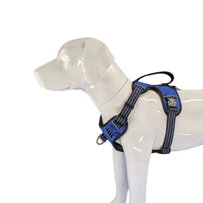 רתמת כלבים כבדה