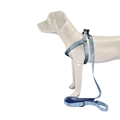 שלב ניילון ברתמת כלבים