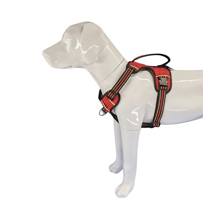 רתמת כלבים מרופדת לכלבים גדולים