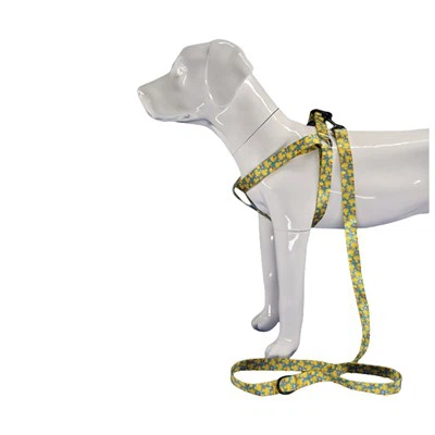 רתמת כלב ברווז גומי