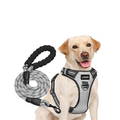 סט רתמה ורצועה לכלב בהתאמה אישית