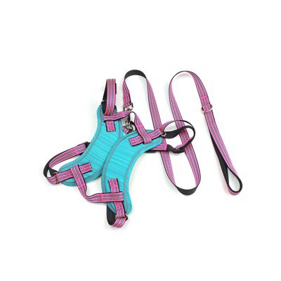 סט רתמה ורצועה ללא משיכה לכלב