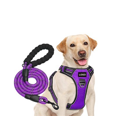 סט רתמת כלב ורצועת כלב לוגו מותאם אישית